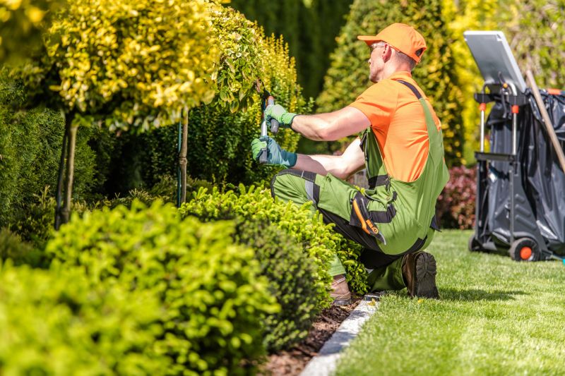 Local Landscape Hardscaping pros at work